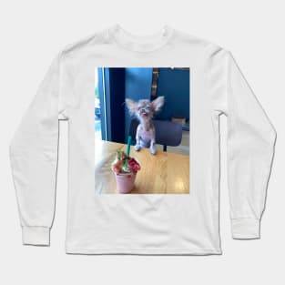 Pup cup Long Sleeve T-Shirt